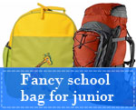 Fancy School Bags for Junior